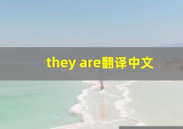 they are翻译中文